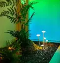 Mushroom-garden-light-lz