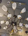 American Flower Chandelier light zone