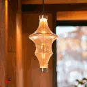 IMG_20241124_175201.webp