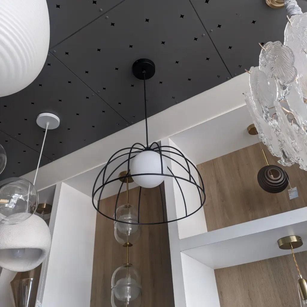 cage-black-hanging-light-by-light-zone