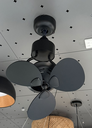 luft-havana-black-fan-light-zone