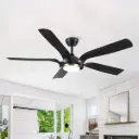 Sparta Fan 56"