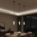 Drop Pendant Light