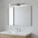 Tor Black Mirror Light