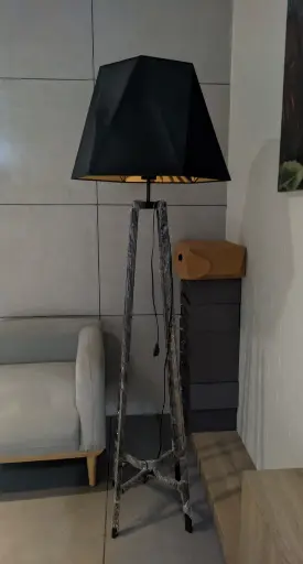 Cosco Black Floor Lamp